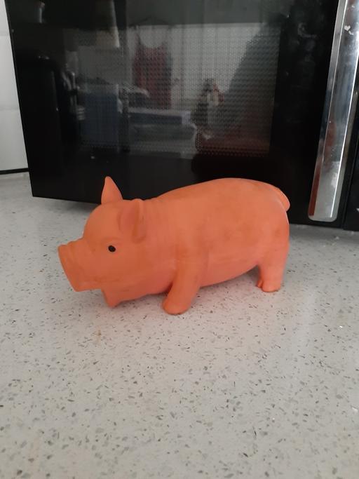  — dog toy