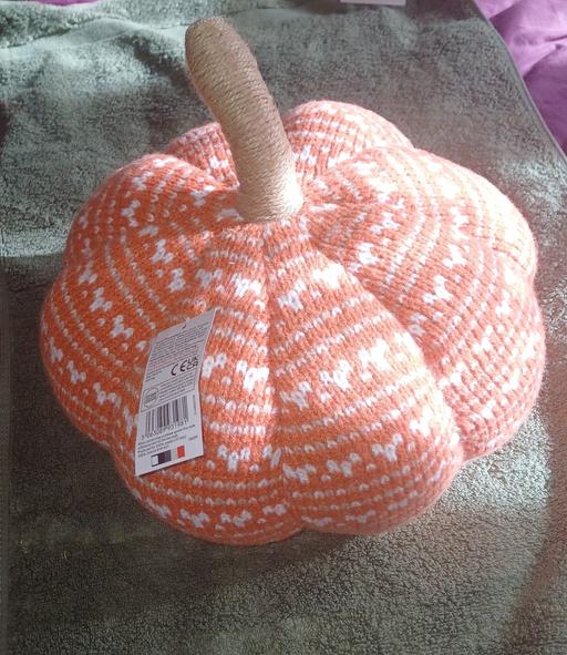  — Medium size material pumpkin
New