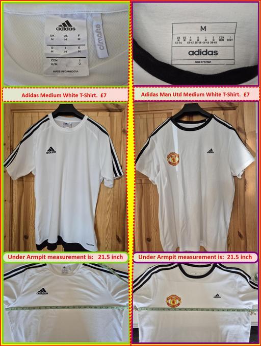  — Mens Medium T-Shirt. [2 sorts]