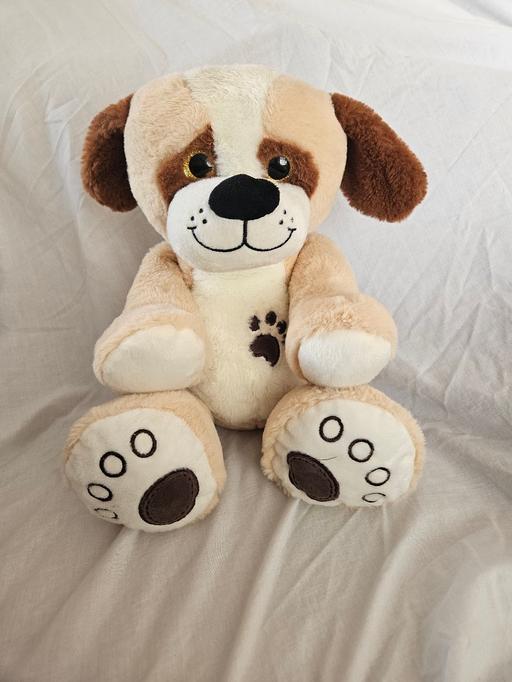  — Teddy Bear Dog
