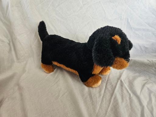  — Dog Teddy