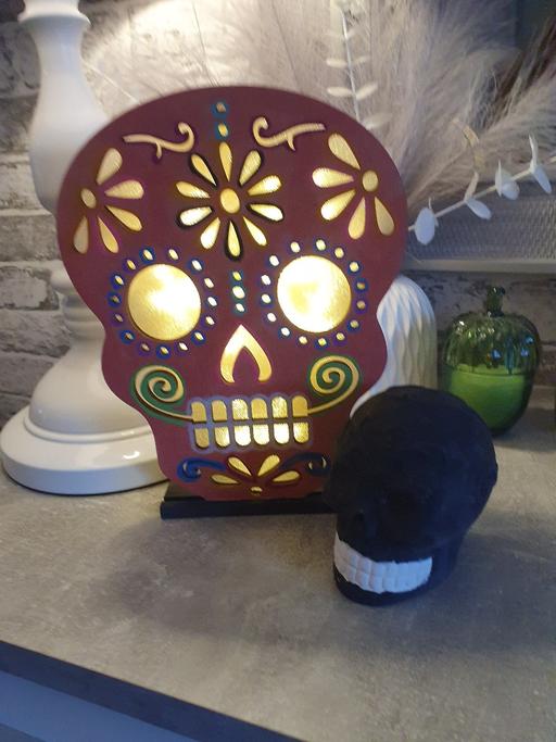  — paint your own light and skull