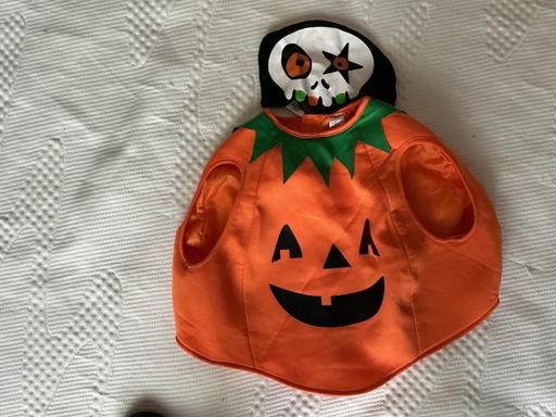  — Halloween costume age 1-2