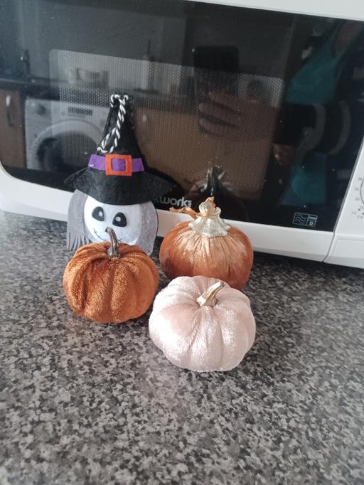  — Halloween decorations