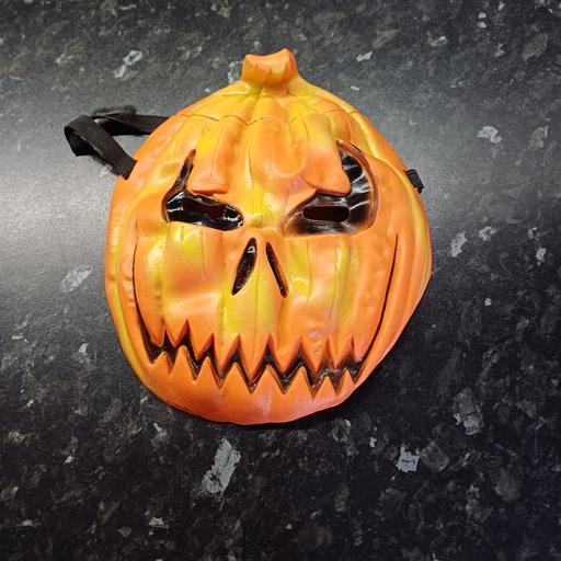  — pumpkin mask kids. new