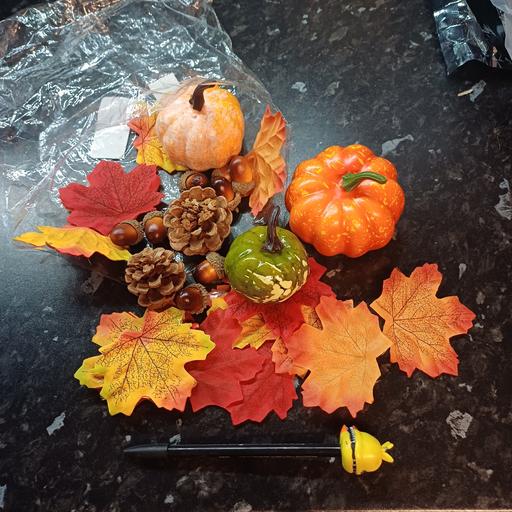 — Pumpkins. Leaves decorations. New