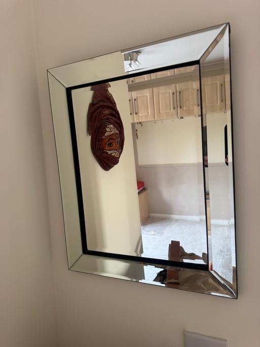  — mirror