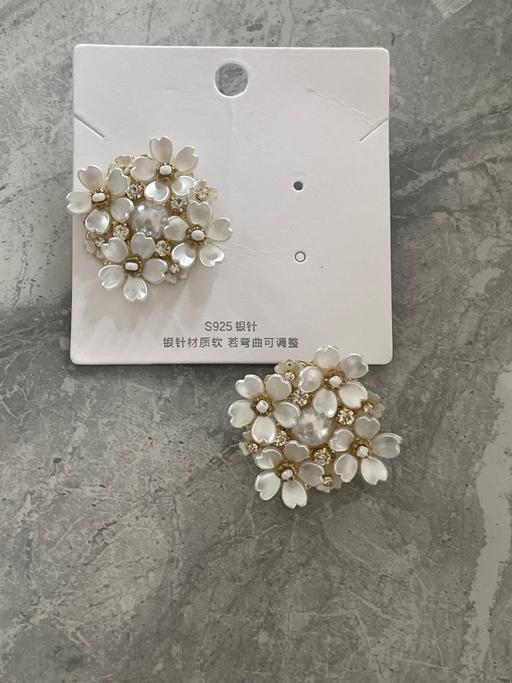  — Earrings