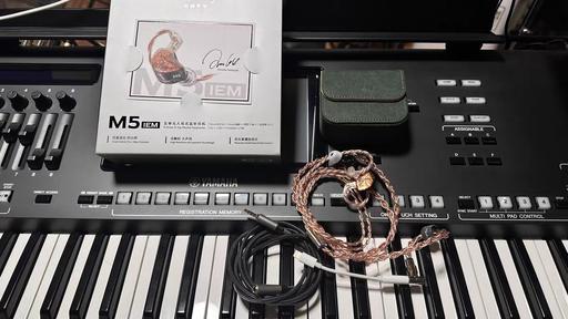  — Tipsy M5 IEM 5‑Hi‑Fi Dual‑Chip EARPHONE
