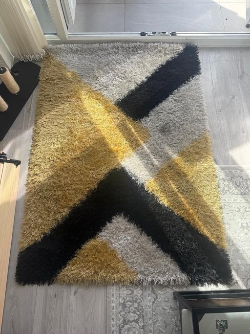 — Shaggy Rug