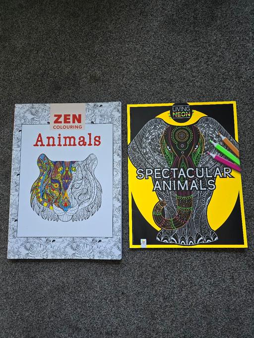  — 2 Adult colouring books