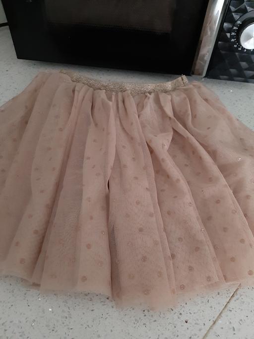  — skirt
