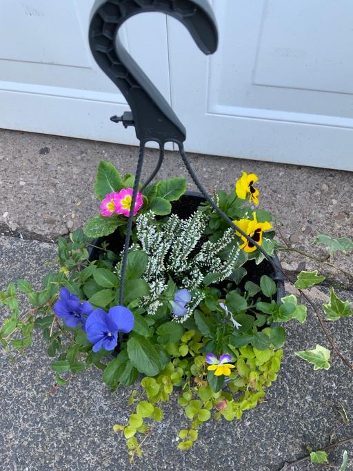  — Autumn and winter baskets