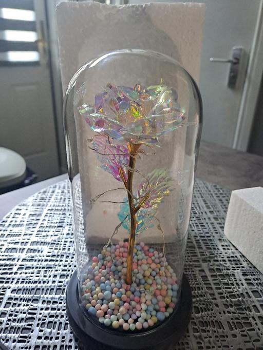  — colour changing rose in dome