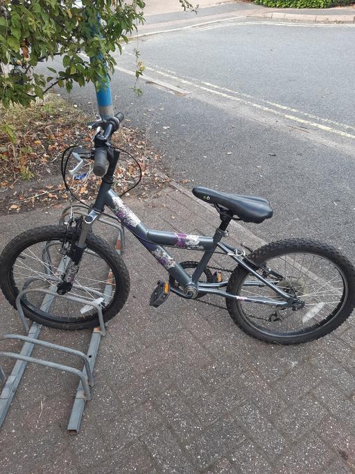  — Childs Bycicle