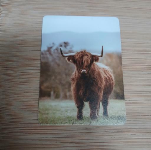  — Highland Cow Fridge Magnet New