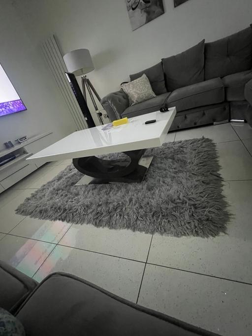  — Grey fluffy rug