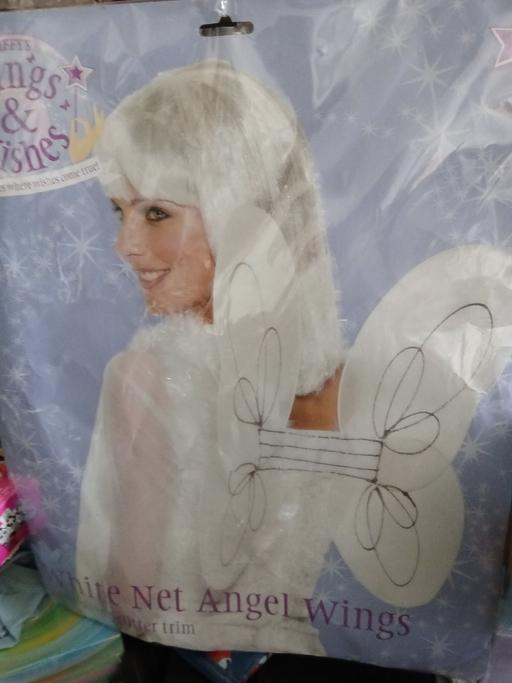  — adult fairy wings