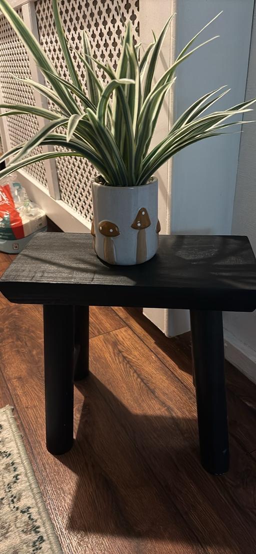  — Wooden table and plant