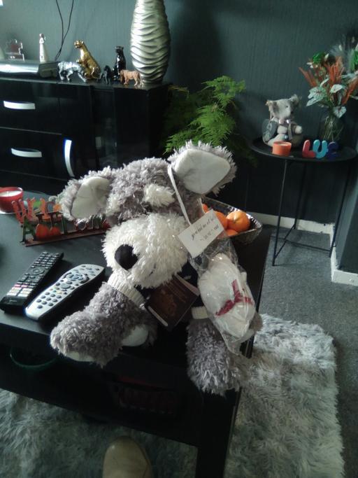  — soft toy