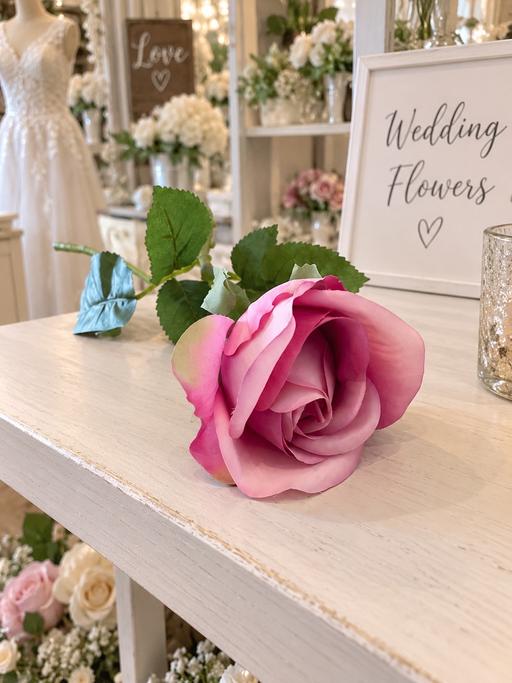  — Sophia Rose Dark Pink single Stem Roses x10