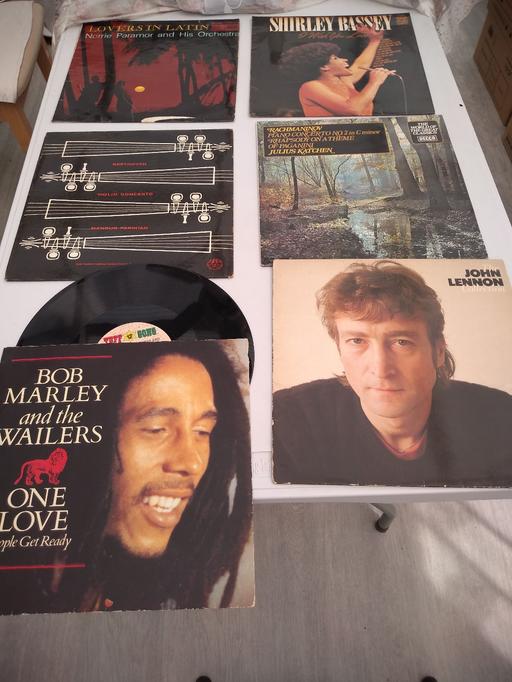  — vinyl discs