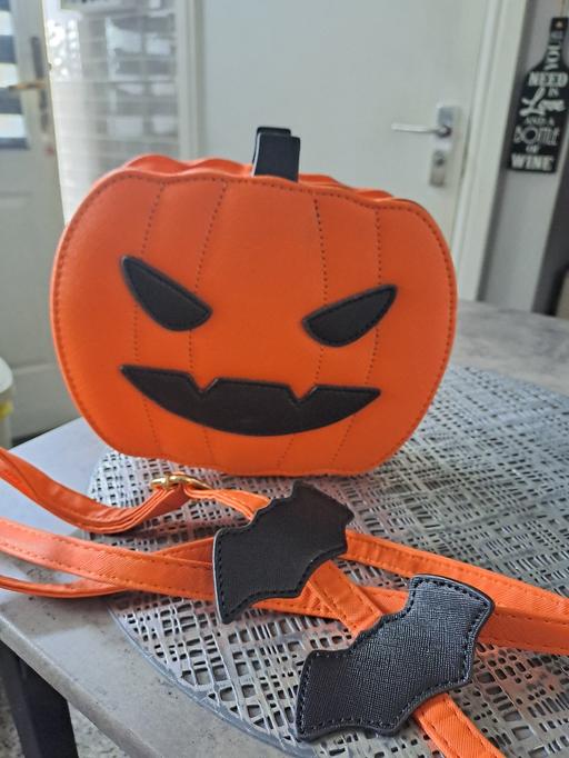  — brandnew pumkin bag