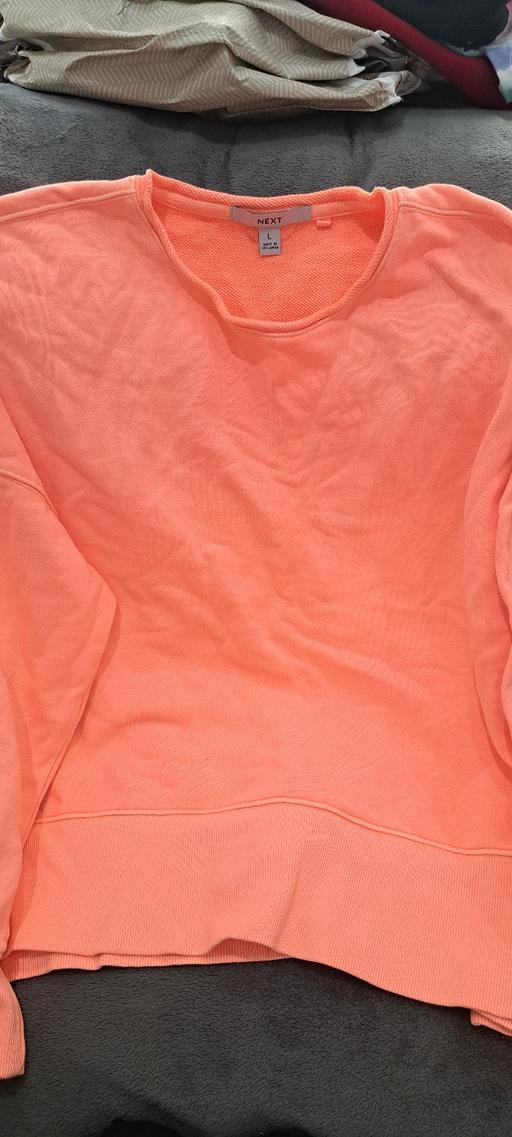  — Next Sweater Adult L