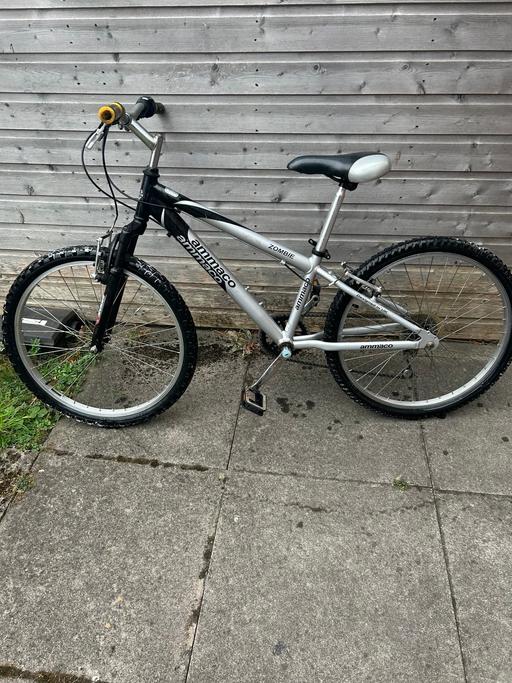  — Junior mountain bike ( AMMACO )