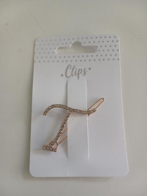  — NEW hair slide