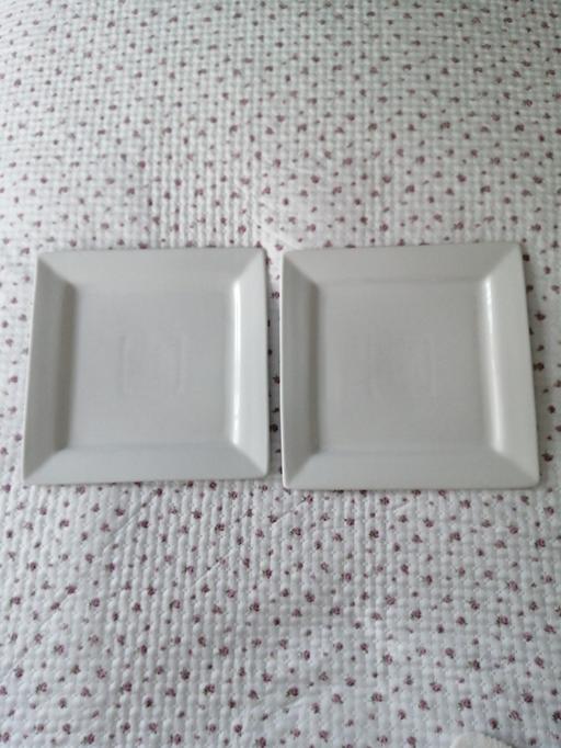  — (2) Dinner Plates