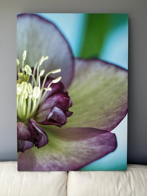  — Large print on canvas