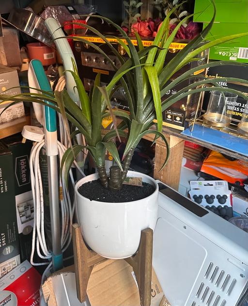  — Artificial plant on stand