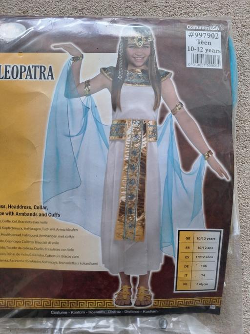  — Egyptian fancy