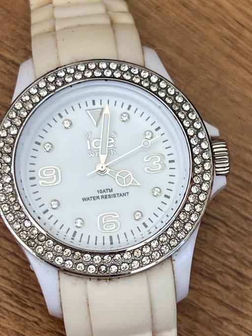  — ICE Watch