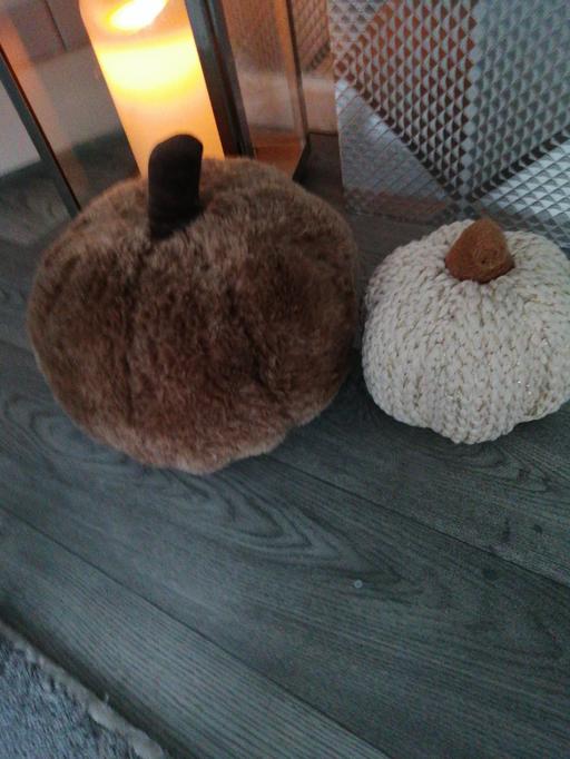  — (2) Pumkins