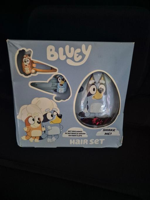  — new Bluey Hair Set