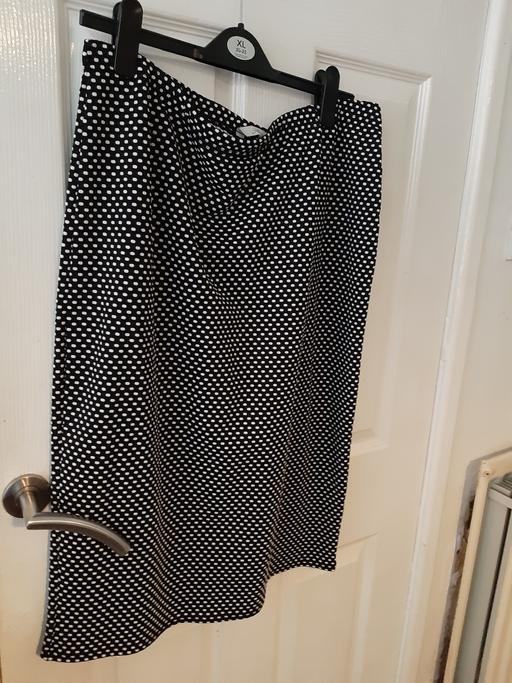  — ladies skirt