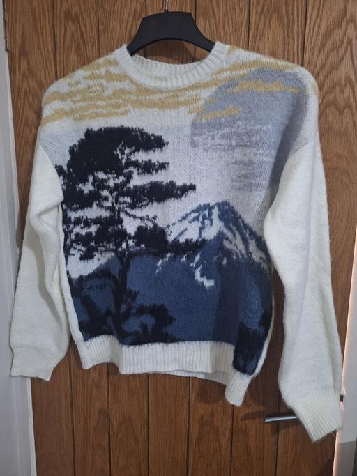  — mens jumper