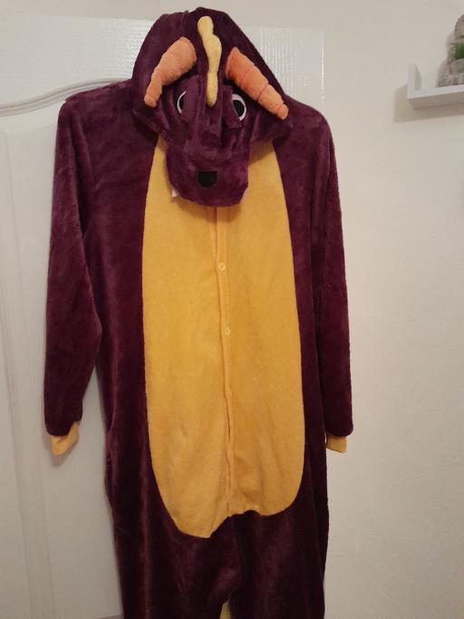  — Adult size onesie