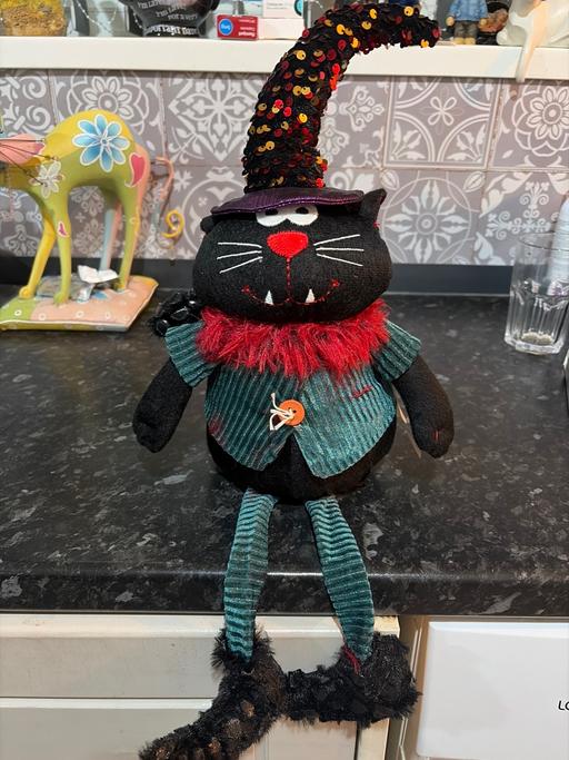  — Halloween cat