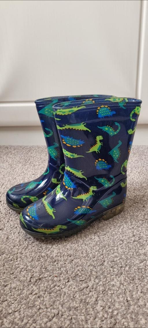  — Dinosaur wellingtons