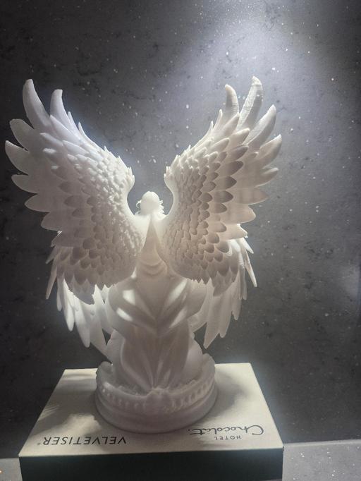  — angel