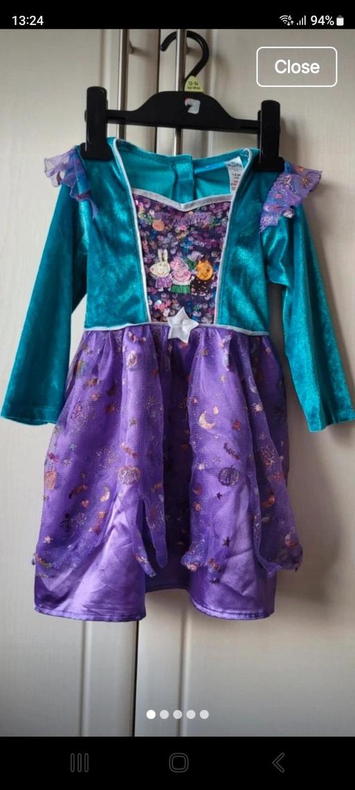 — Peppa pig Halloween fancy dress costume