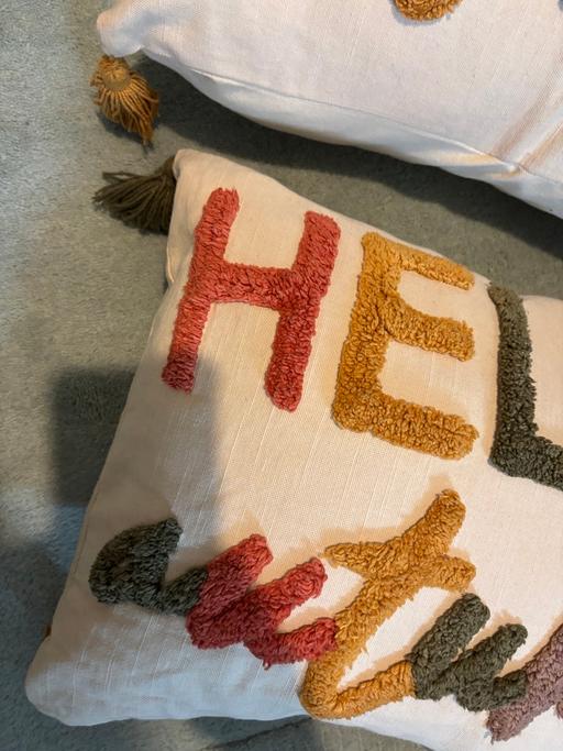  — Pair of cushions
