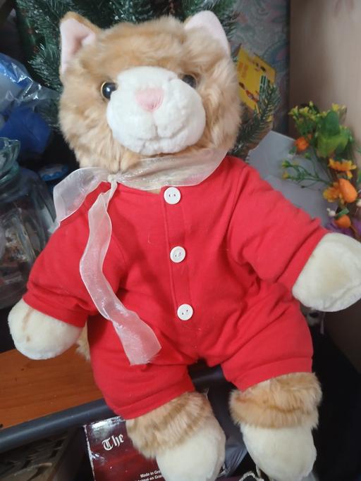  — cat teddy new condition
