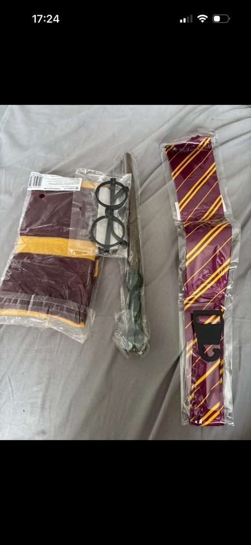 — Harry Potter set costume