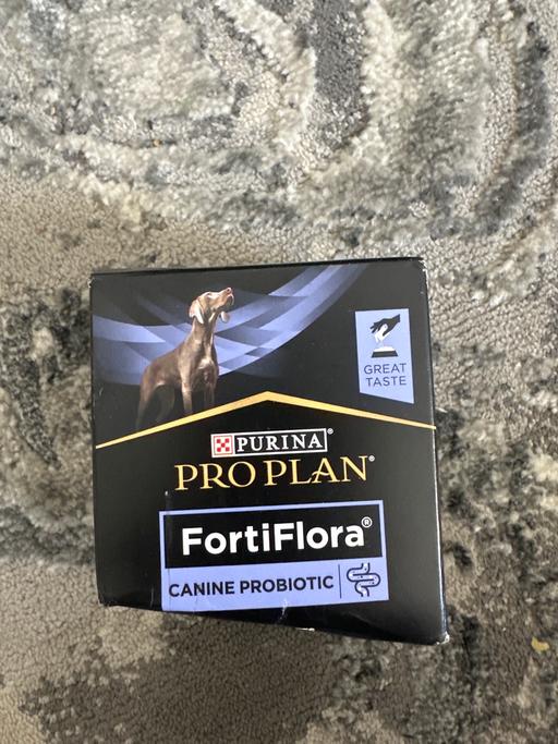  — Brand new pro plan