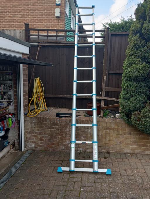  — Macallister telescopic ladder