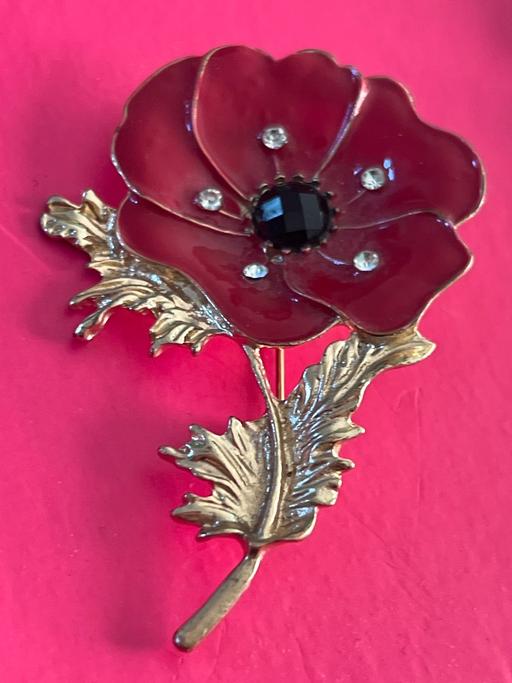  — Lovely poppy brooch
